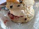 Cream scone bought from onsite shop
