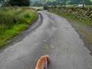 A walk back from the toilet block