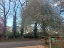 Lovely location , fred the owner meets you on arrival