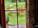 View from within the lodge
