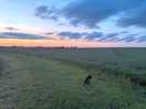 Sunset at the site
