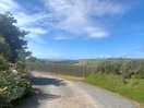 View from site