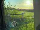 Lovely morning view