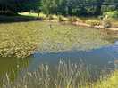 Fishing pool
