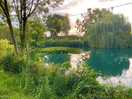 Monet lake