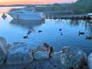 Sunset over lough ree - lots of ducks!