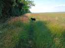 Wonderful walks