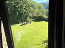 View from back window