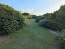 Greenery