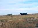 Dungeness cycle