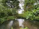 The river