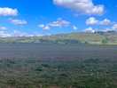 Lovely view across the nearby fields.