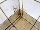 Shower floor/wall
