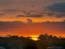 Beautiful sunset over the tree line.