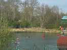 Swimmers