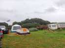 Sheltered pitches available along side the hedge