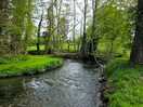 Stream between the site and the private lake