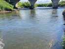 Down by the river