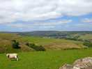 Gods own country