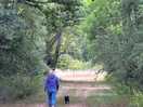 A walk along the old railway line.