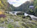Cenarth falls