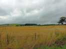 View on the way to edzell.