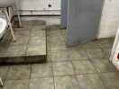 Toilet and shower area