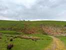 Farm