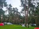 Peaceful forrest pitches.