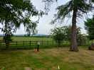 New hall farm