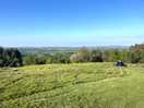Fields