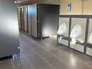 The stunning toilets