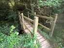 A walk from the site to the coastal path.