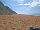 Hive beach