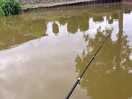 Spot of fishing
