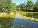 Small fishing lake