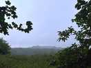 Lovely views