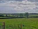Rolling country