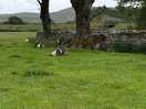 Walking to helwith bridge.