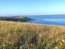 View from coastal walk 5 min from site