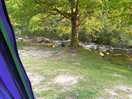 Stream