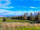 Blue skies