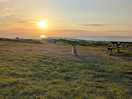 Corgi at sunset.