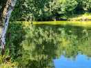 Field lake