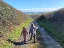 Walking to see the animals