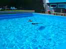 🏕 swimming pool