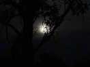 Watching the moon . even saw a few shooting stars as it is so dark.