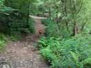 Beautiful walks