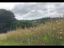 The field leading to the woodland walks.