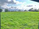 Our view from the side of the van